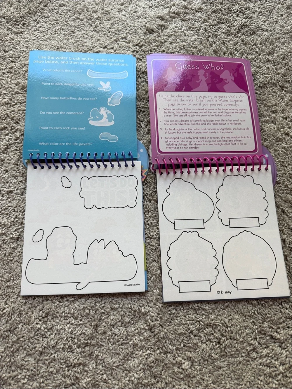 Target Imagine Ink Color-With-Water Activity Books - Blue & Purple